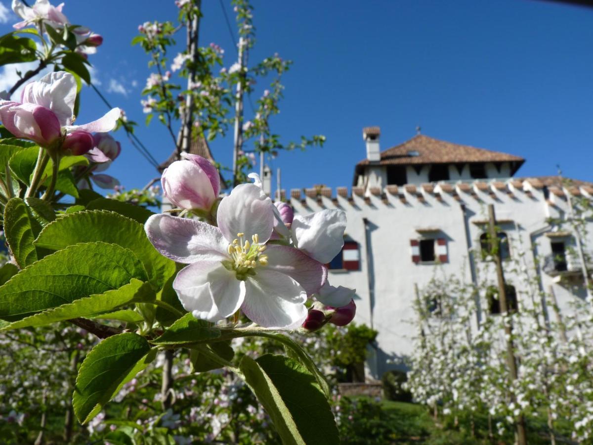Apartments Schloss Paschbach Appiano Sulla Strada Del Vino Bagian luar foto