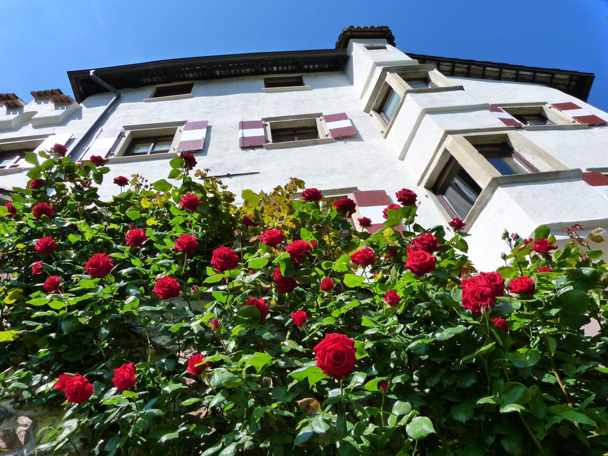 Apartments Schloss Paschbach Appiano Sulla Strada Del Vino Bagian luar foto