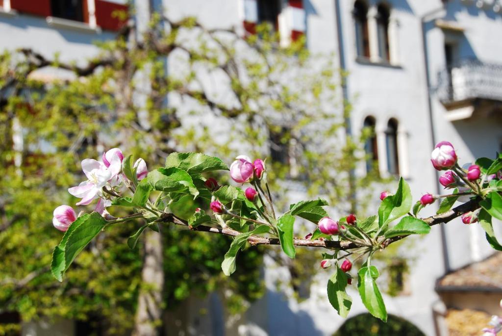 Apartments Schloss Paschbach Appiano Sulla Strada Del Vino Bagian luar foto
