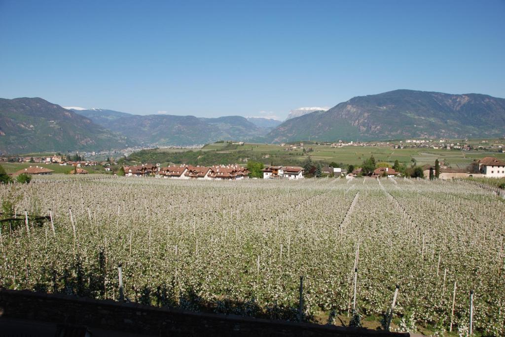 Apartments Schloss Paschbach Appiano Sulla Strada Del Vino Bagian luar foto